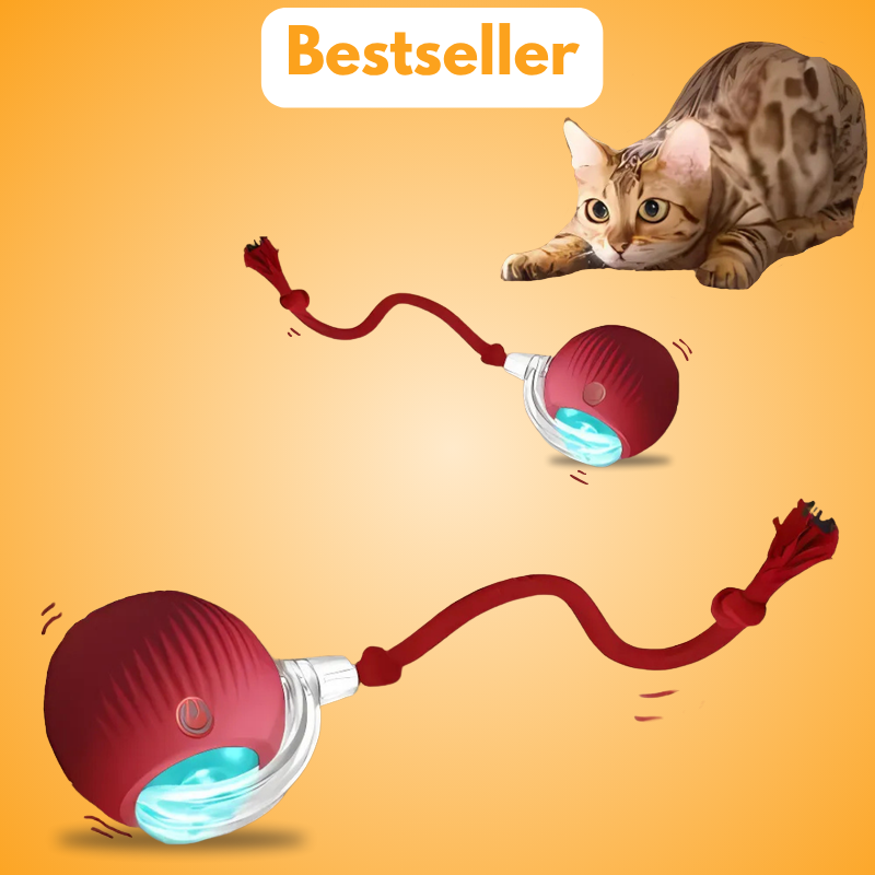 SmartBall™ – Interaktiv, automatisk och överraskande kattlek