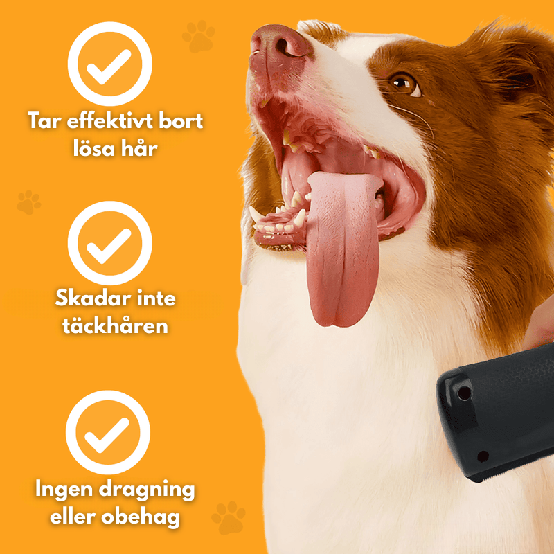 PälsMagnet-borste™ – Den ultimata lösningen för att enkelt avlägsna djurhår