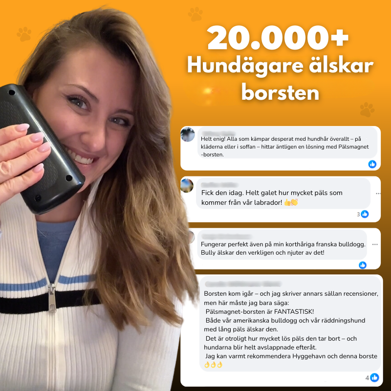 PälsMagnet-borste™ – Den ultimata lösningen för att enkelt avlägsna djurhår