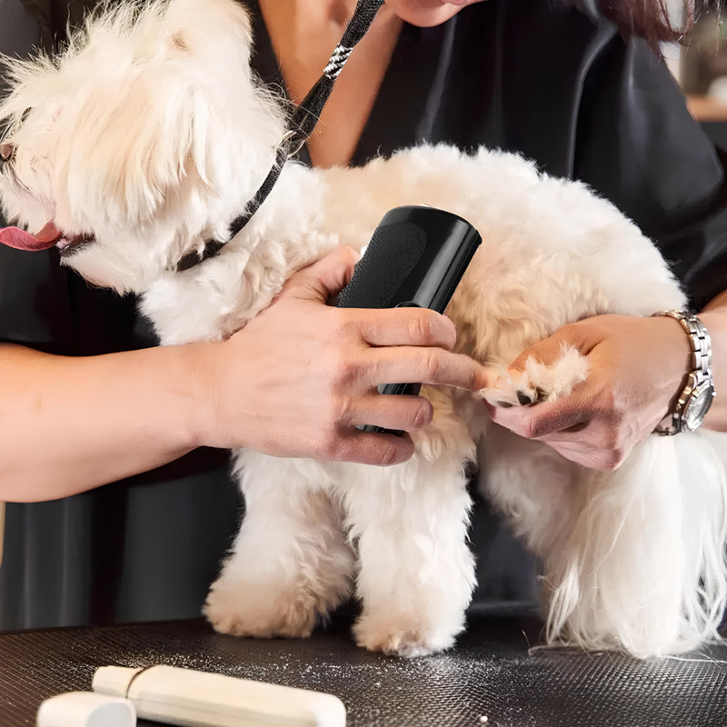 PälsMagnet-borste™ – Den ultimata lösningen för att enkelt avlägsna djurhår