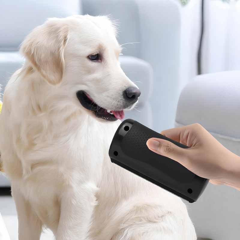 PälsMagnet-borste™ – Den ultimata lösningen för att enkelt avlägsna djurhår