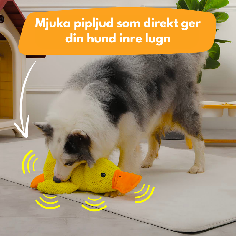 Antistress-Anka™ – Ge din hund lugn och trygghet