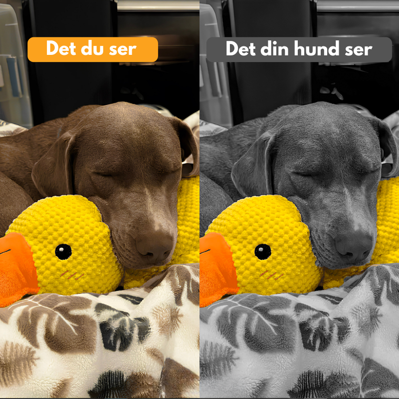 Antistress-Anka™ – Ge din hund lugn och trygghet