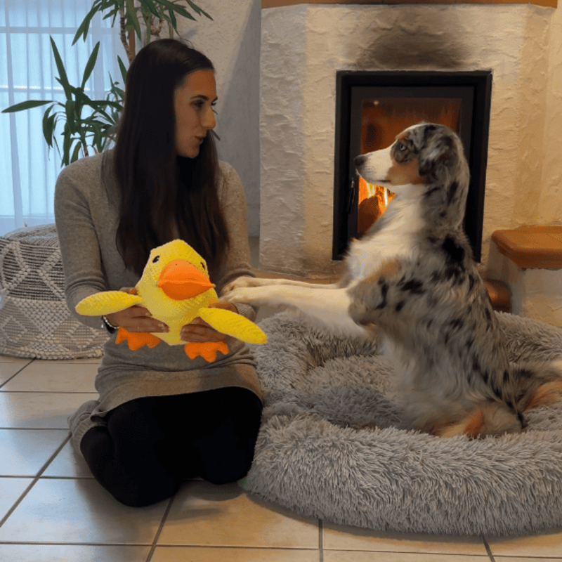 Antistress-Anka™ – Ge din hund lugn och trygghet