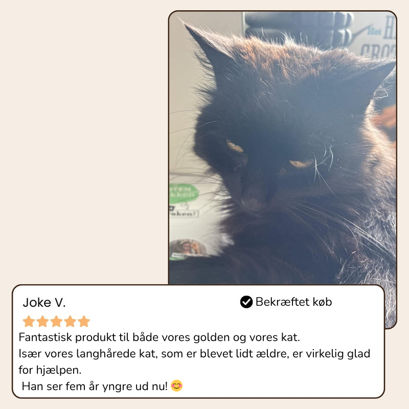 MistBrush™ – Fuktar, masserar och avlägsnar hår utan smärta