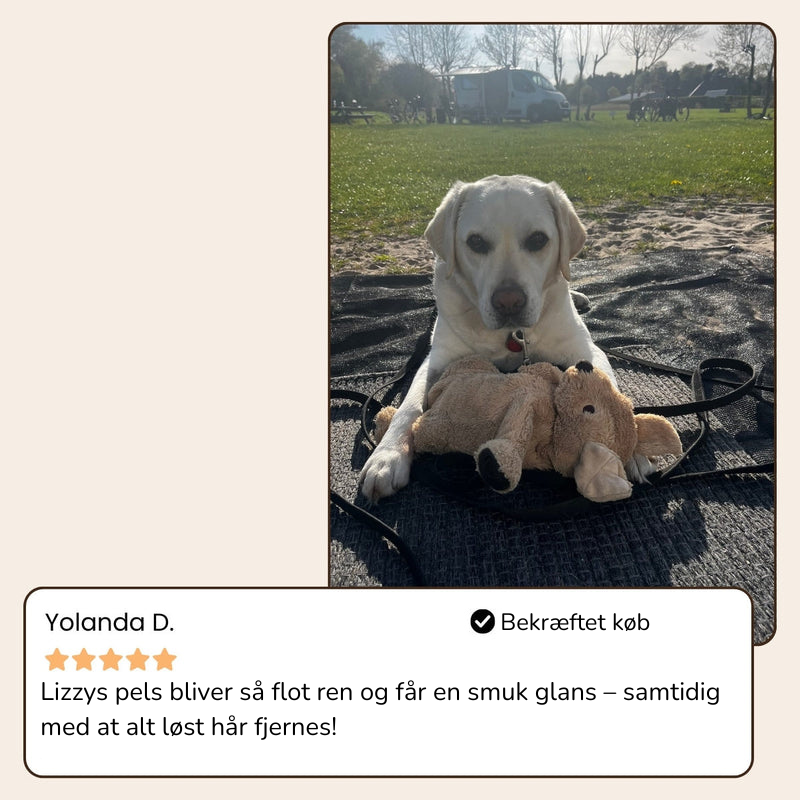 MistBrush™ – Fuktar, masserar och avlägsnar hår utan smärta