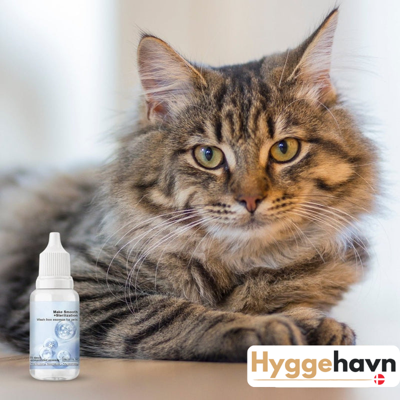 Fur Revitalizing Shampoo Drops - Suitable for All Fur Types